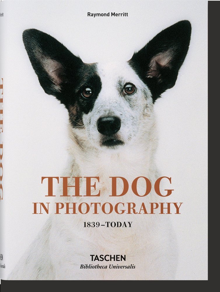 DOG IN PHOTOGRAPHY 1839 TODAY (AL/FR/IN) - AA,VV - TASCHEN