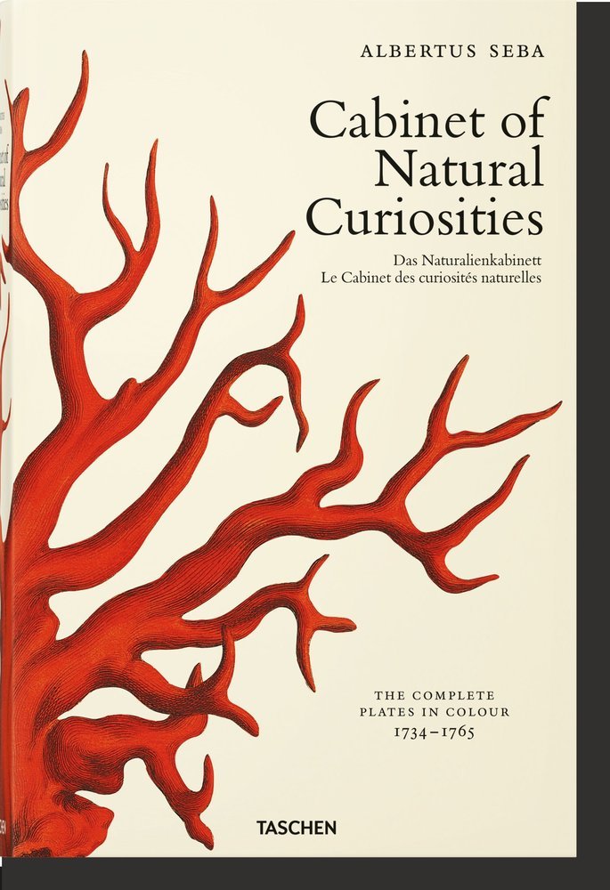 SEBA CABINET OF NATURAL CURIOSITIES - MUSCH,IRMGARD/RUST,JES/WILLMANN,RAINER - TASCHEN