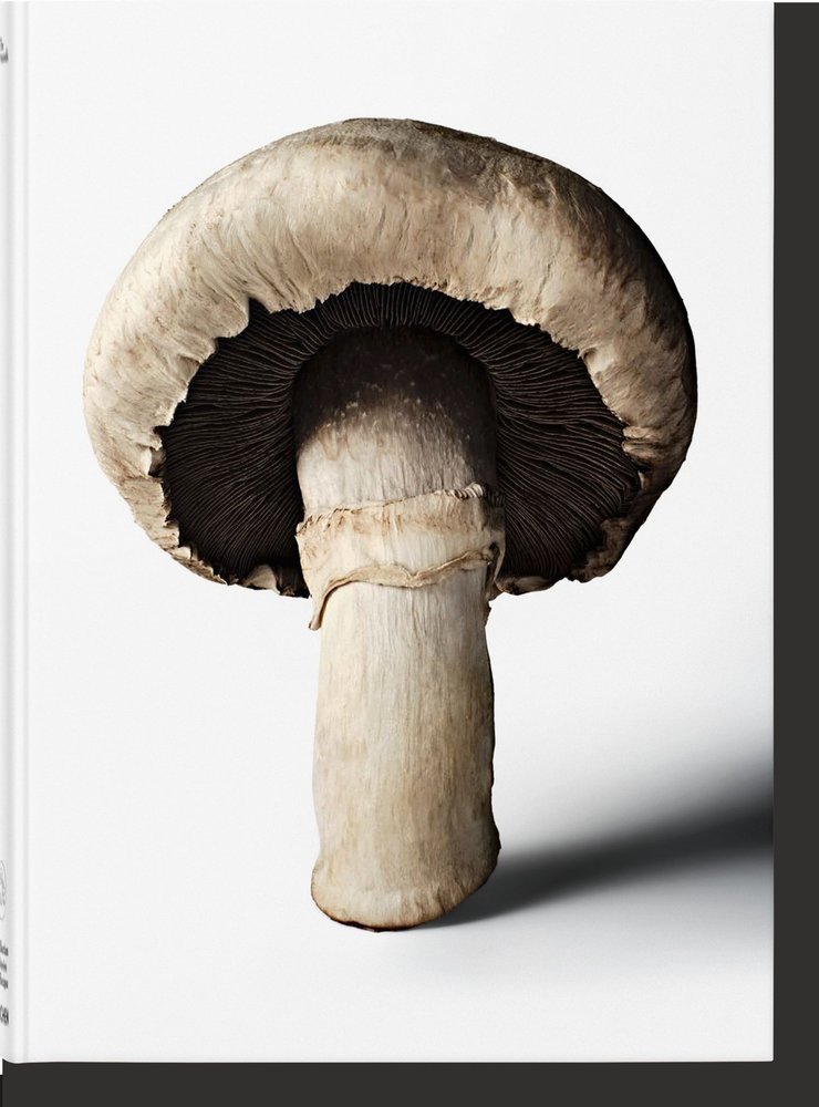 THE GOURMAND'S MUSHROOM A COLLECTION OF STORIES & RECIPES -  - TASCHEN