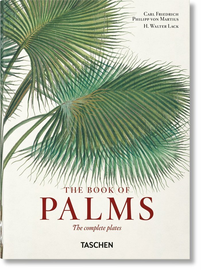 THE BOOK OF PALMS - LACK,H WALTER - TASCHEN
