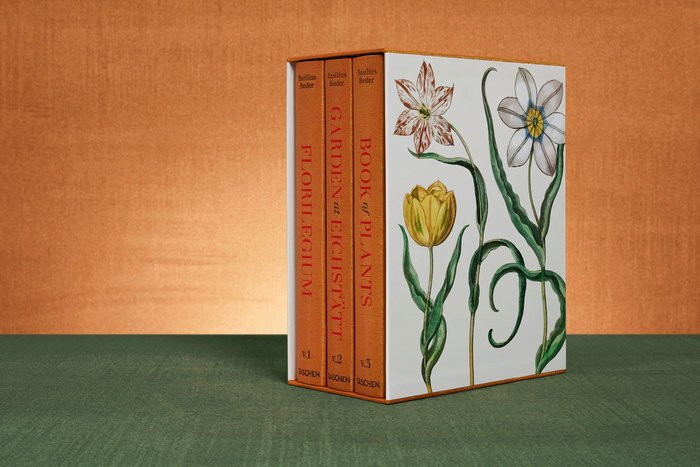BESLER THE GARDEN AT EICHSTATT FFE - DRESSENDORFER,WERNER/LITTGER,KLAUS WALTE - TASCHEN
