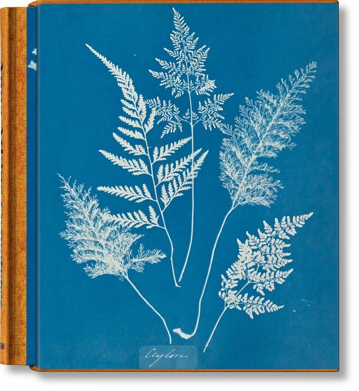 ANNA ATKINS CYANOTYPES (FFE) - WALTHER,PETER - TASCHEN