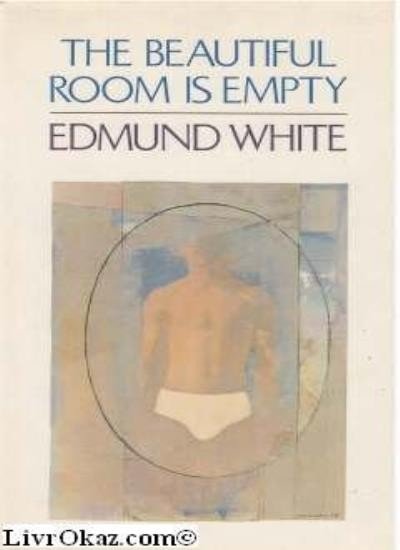 book-gay-the-beautiful-room-is-empty-novel